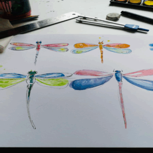 Dragon flies